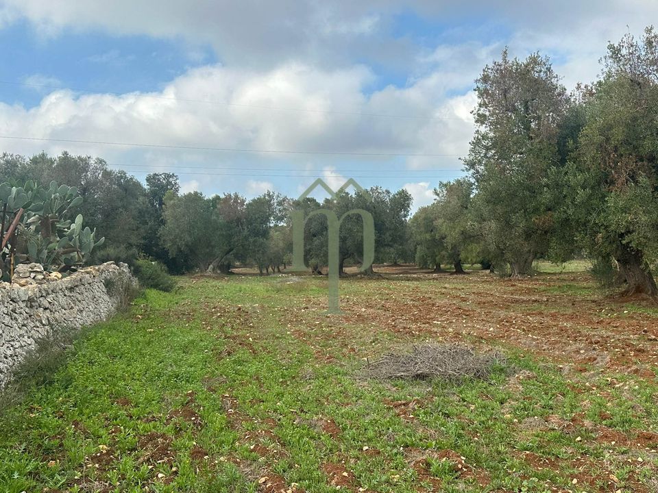 Tomt i Carovigno, Brindisi - bilde 1